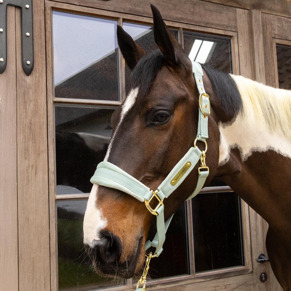 Velvet Halter | Kentucky Horsewear | VelvetDesign — Image 19