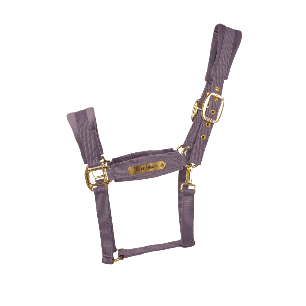 Velvet Halter | Kentucky Horsewear | VelvetDesign — Image 16