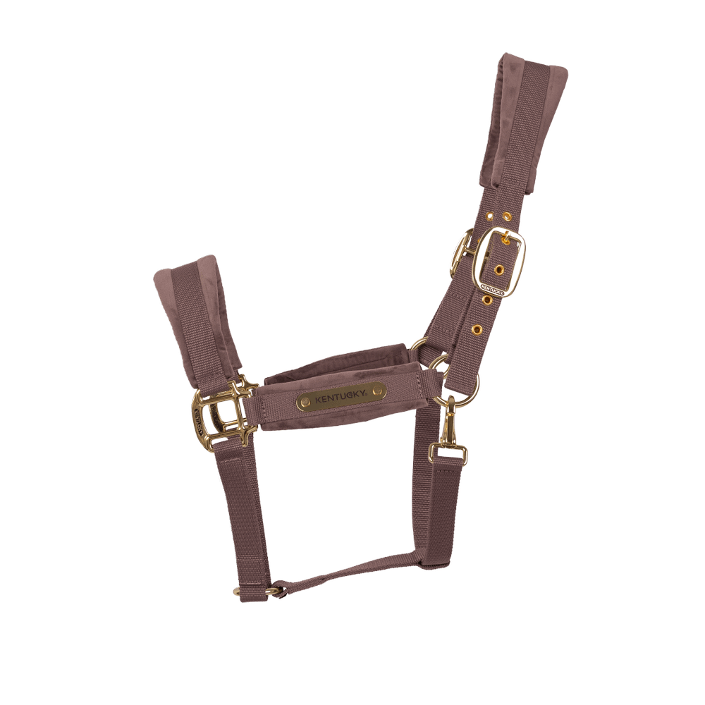 Velvet Halter | Kentucky Horsewear | VelvetDesign — Image 8
