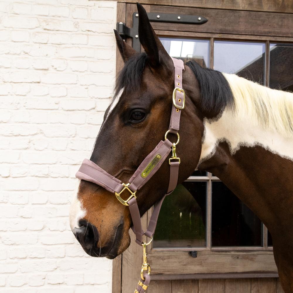 Velvet Halter | Kentucky Horsewear | VelvetDesign — Image 9