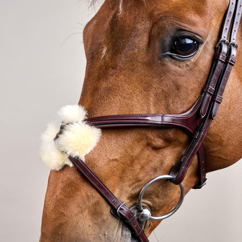 Figure 8 Noseband Bridle NE | Dy'on | control — Image 5