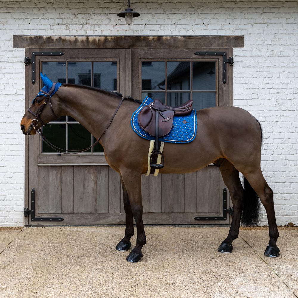 Navy saddle pad under a brown saddle on a brown horse