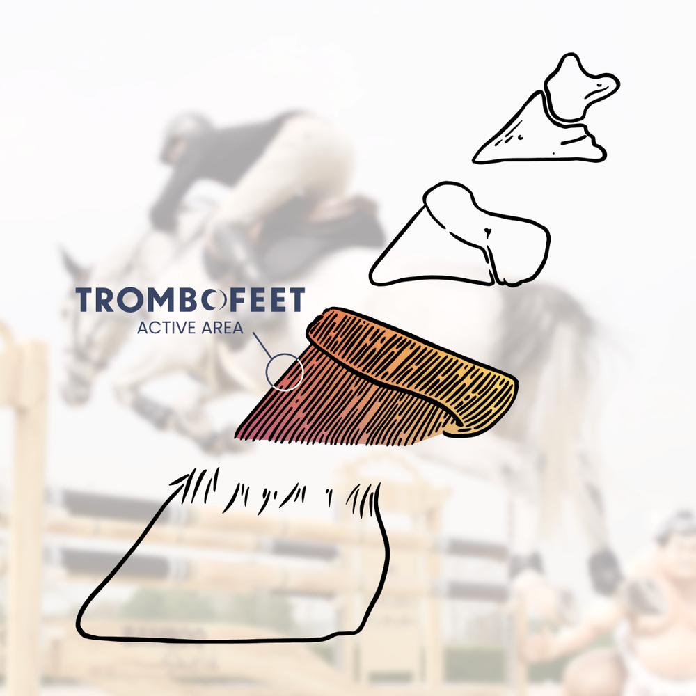 Trombofeet Set of 10 | Grooming Deluxe | compact — Image 5