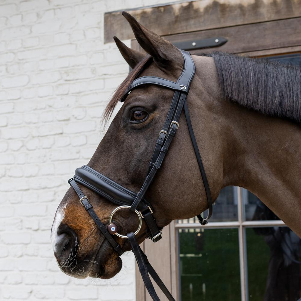Snaffle Flex Loose Ring Hard | Velari | Compact — Image 6