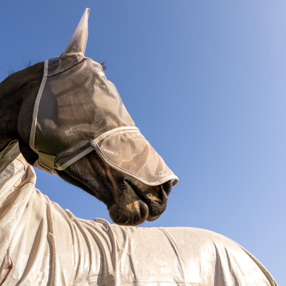 Fly Mask Classic with ears & nose | Kentucky Horsewear | UV-Protective — Image 7