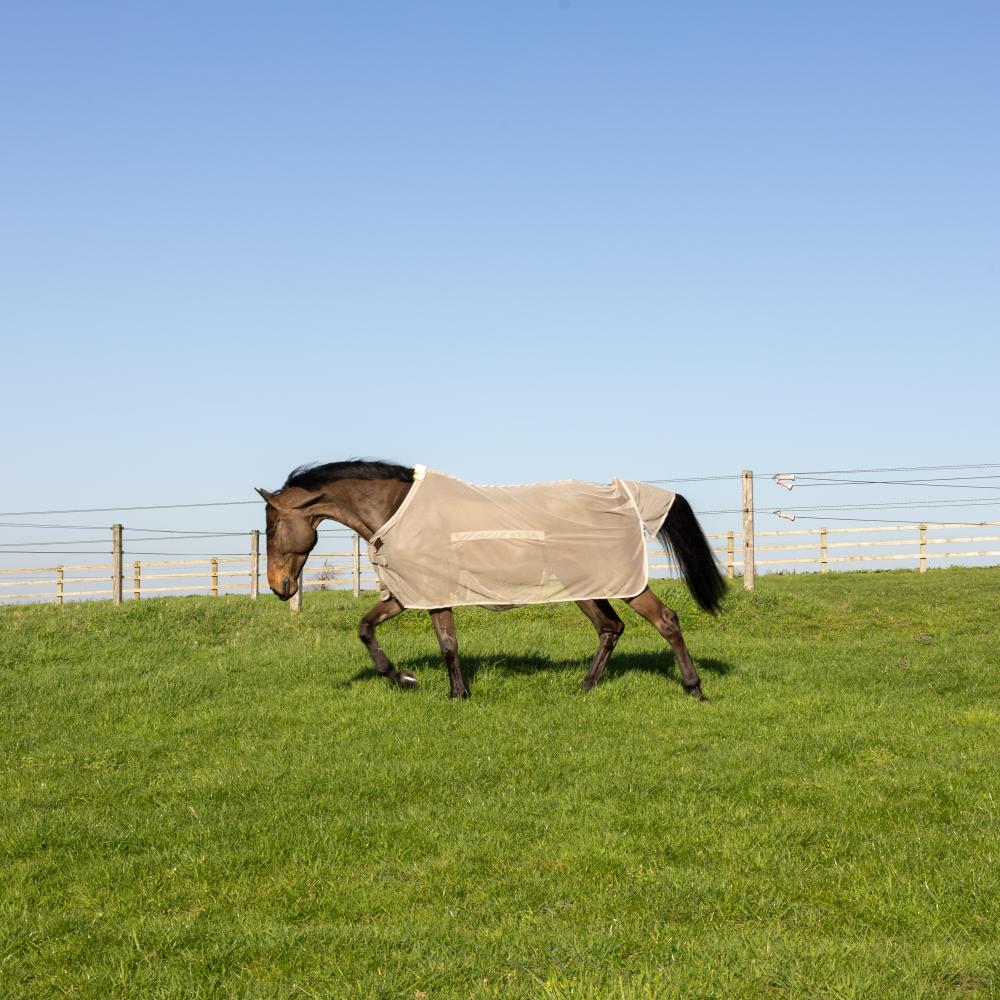 Fly Rug with Belly Cover Comfort | Kentucky Horsewear | flyrug — Image 9