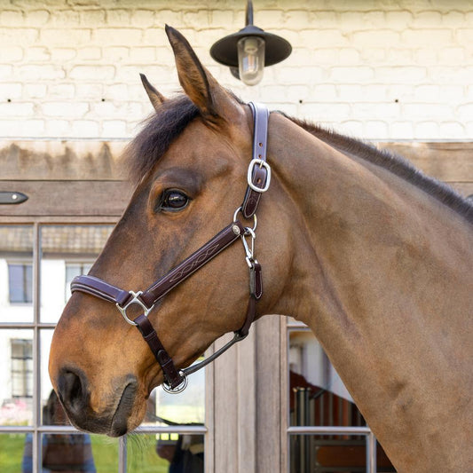 Head Collar Fancy | Dy'on | Durability — Image 2