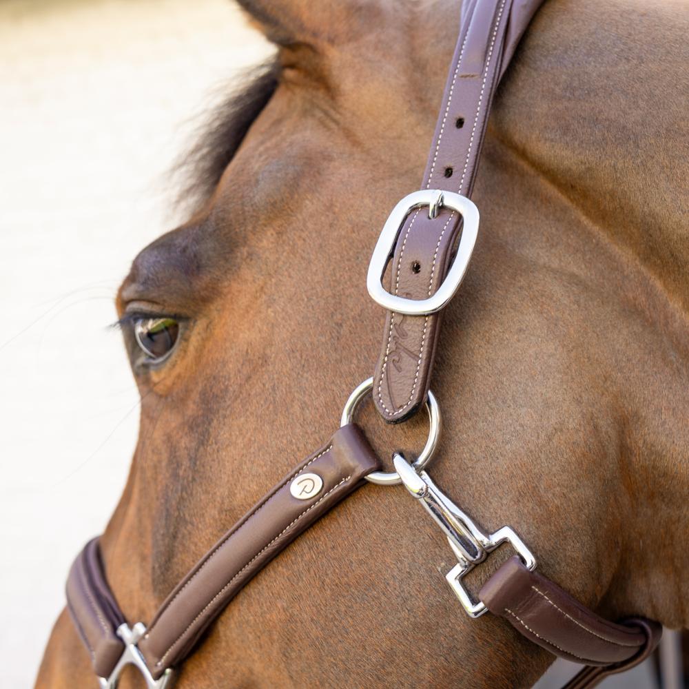 Soft Leather Halter | Dy'on | Comfort — Image 4