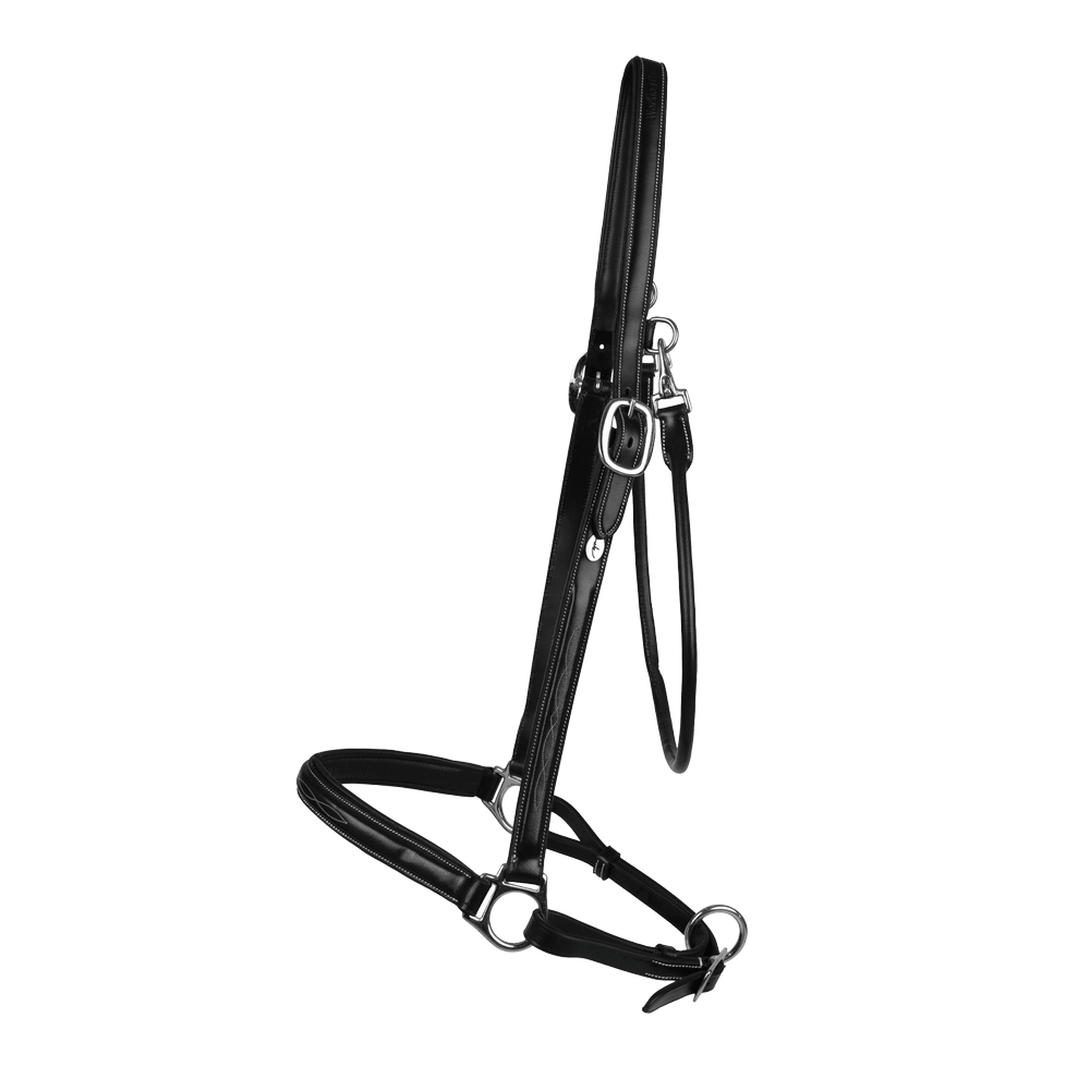 Grooming Halter | Dy'on | Adjustable — Image 5