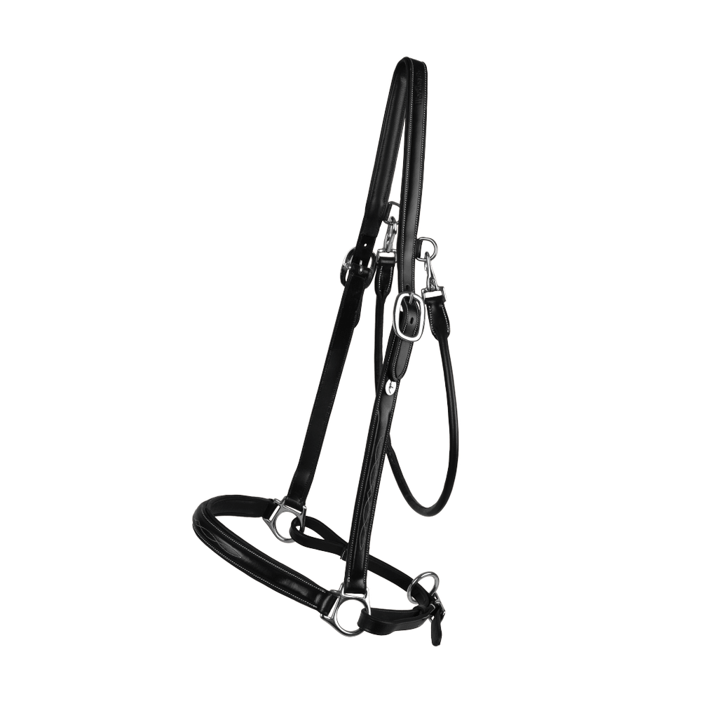 Grooming Halter | Dy'on | Adjustable — Image 6