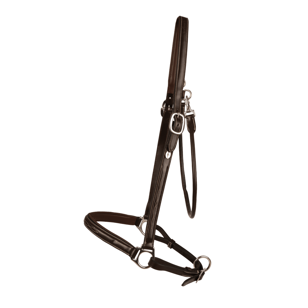 Grooming Halter | Dy'on | Adjustable