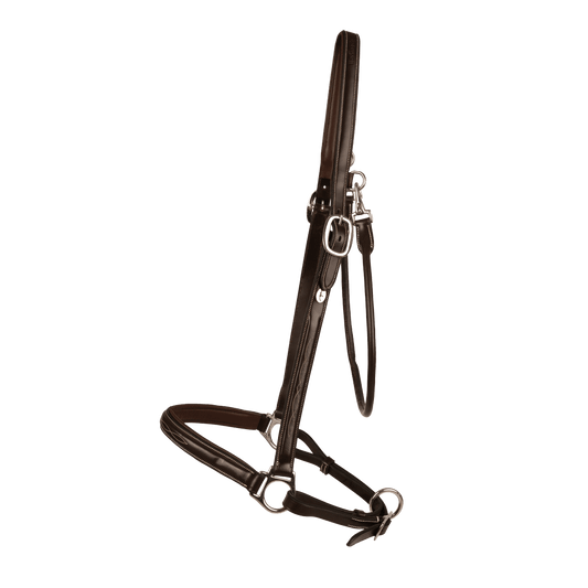 Grooming Halter | Dy'on | Adjustable