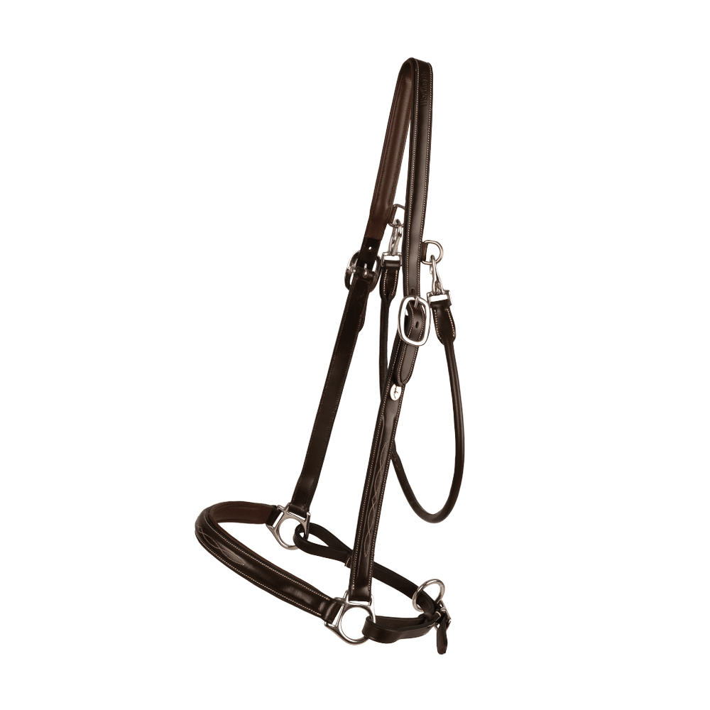 Grooming Halter | Dy'on | Adjustable — Image 2