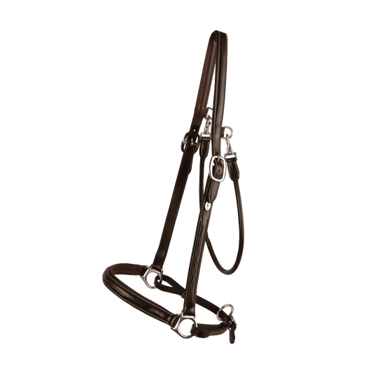 Grooming Halter | Dy'on | Adjustable — Image 2