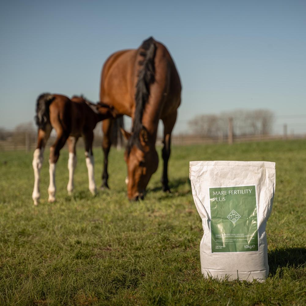 Mare Fertility Plus | Grooming Deluxe | Compact — Image 2