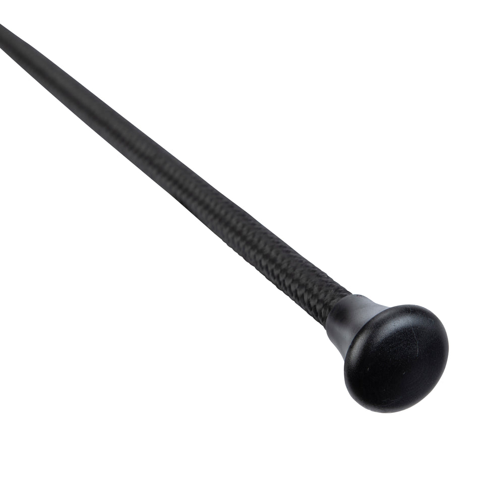 Dressage whip on a white background
