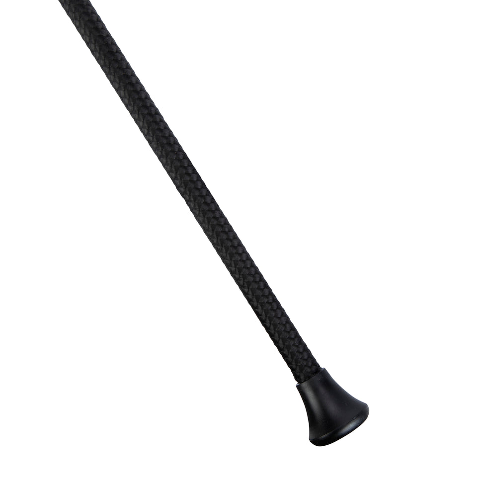 Dressage whip on a white background