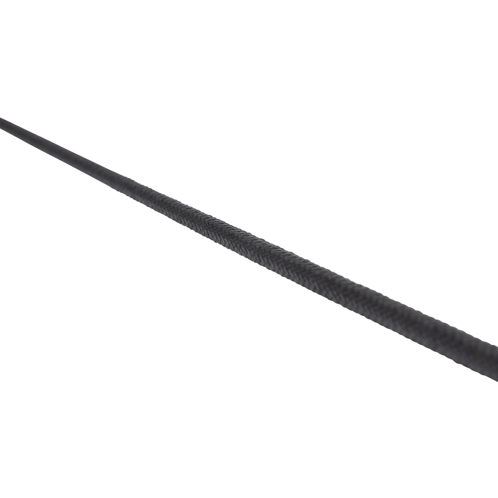 Dressage whip on a white background