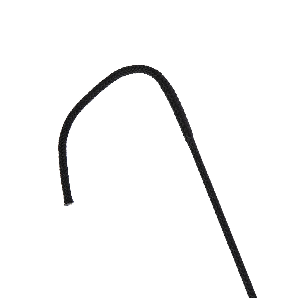 Dressage whip on a white background