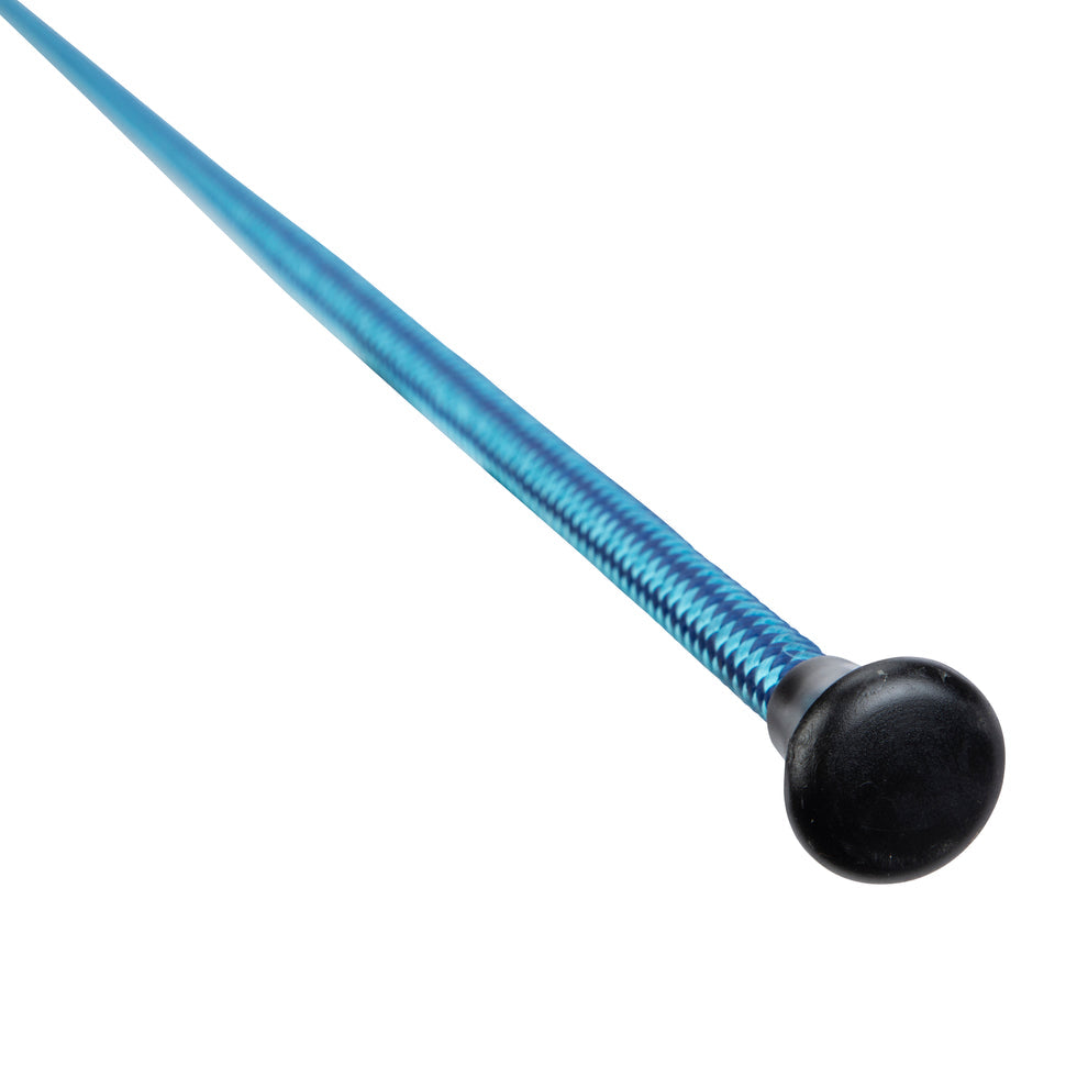 Dressage whip on a white background