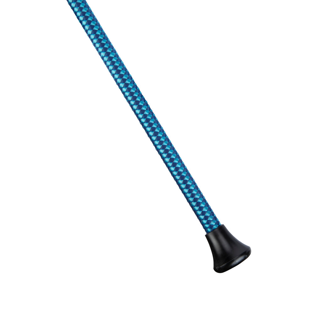 Dressage whip on a white background