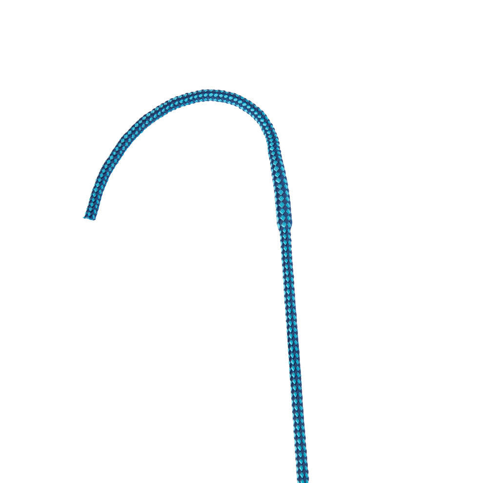 Dressage whip on a white background