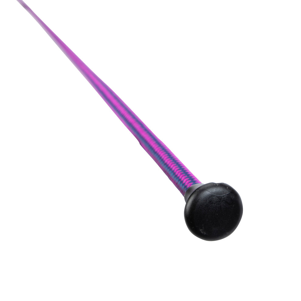 Dressage whip on a white background