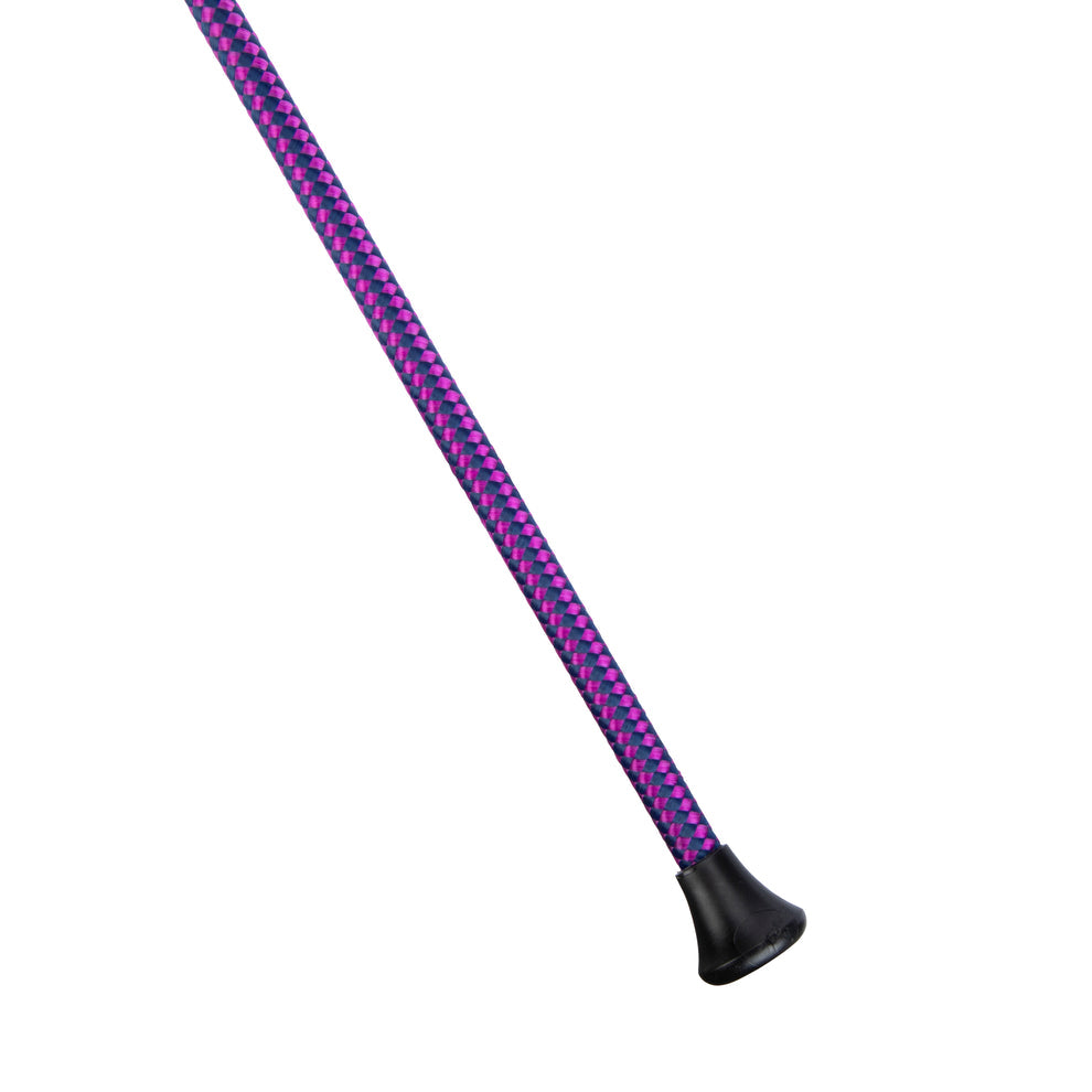 Dressage whip on a white background