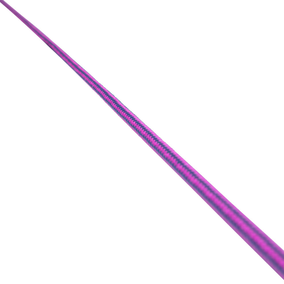 Dressage whip on a white background