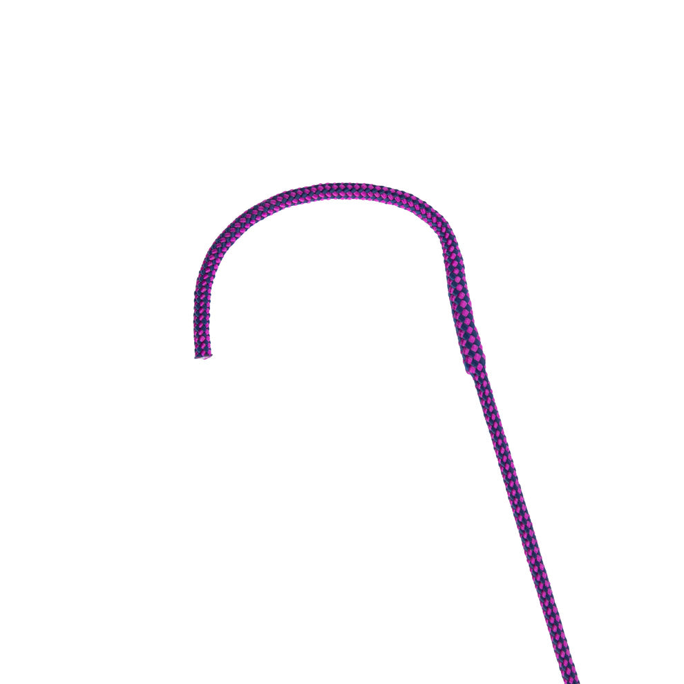 Dressage whip on a white background