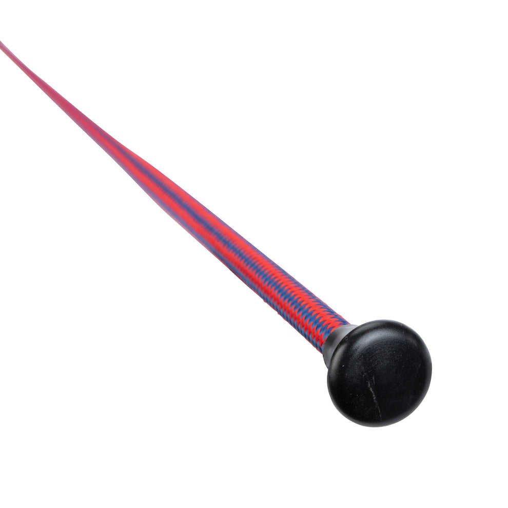 Dressage whip on a white background