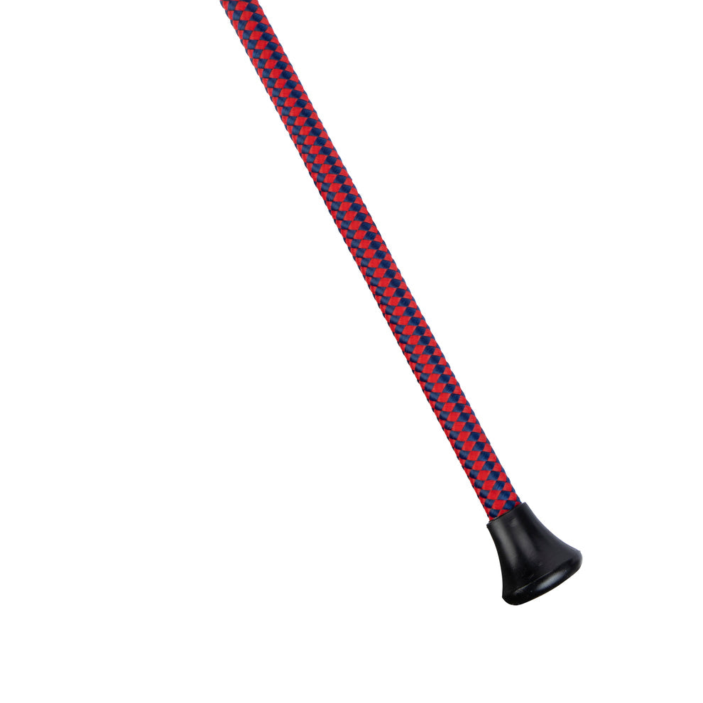 Dressage whip on a white background