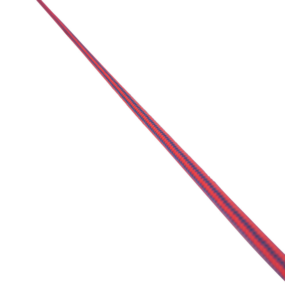 Dressage whip on a white background
