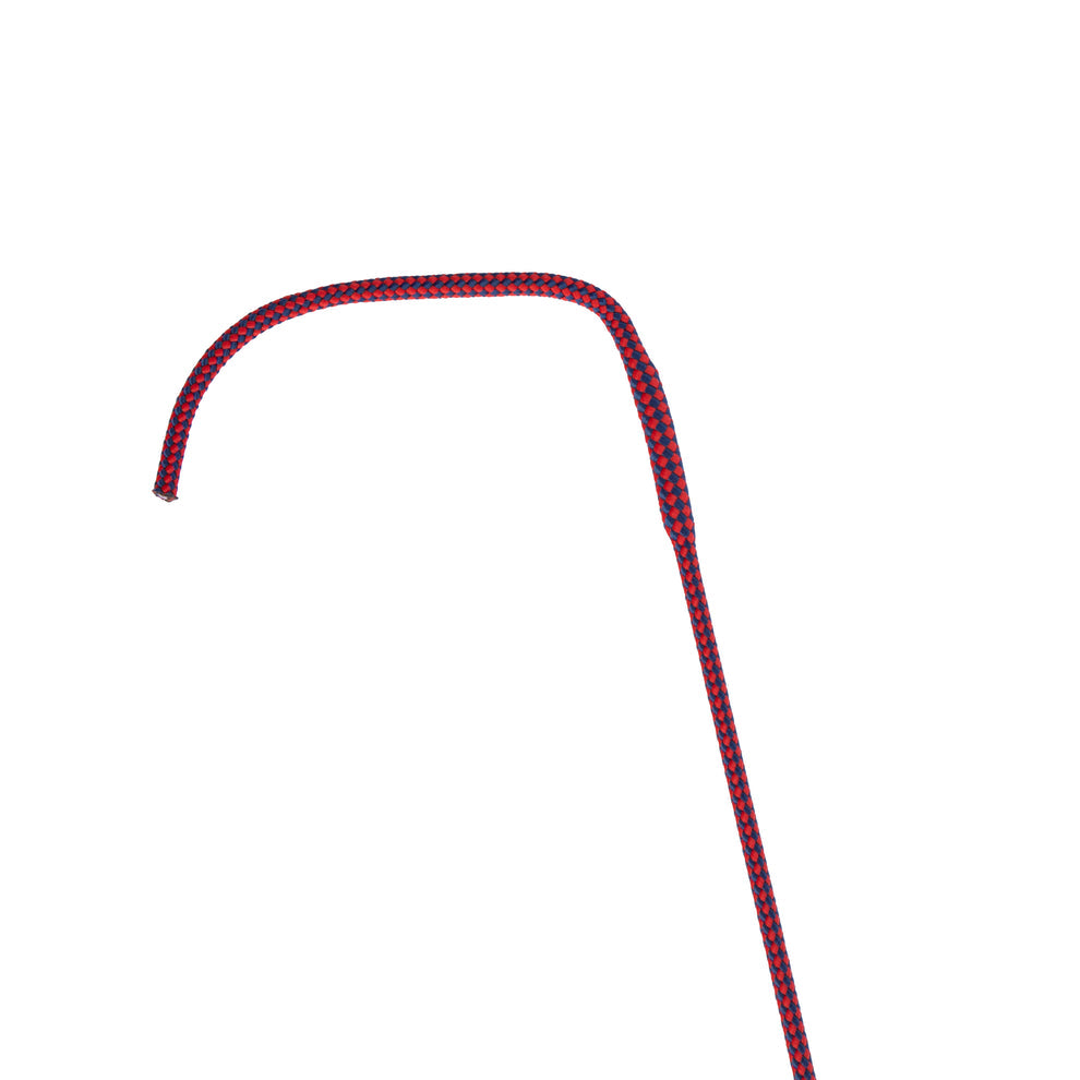 Dressage whip on a white background