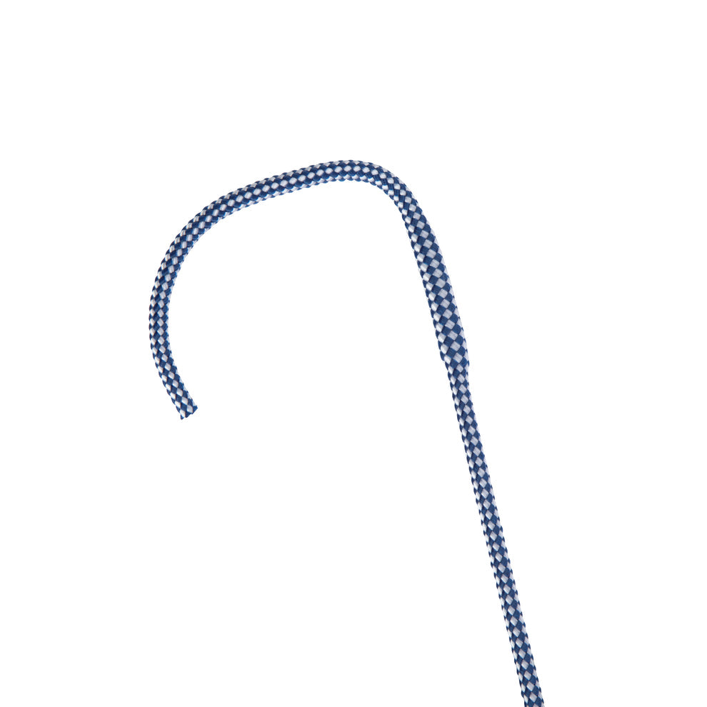 Dressage whip on a white background