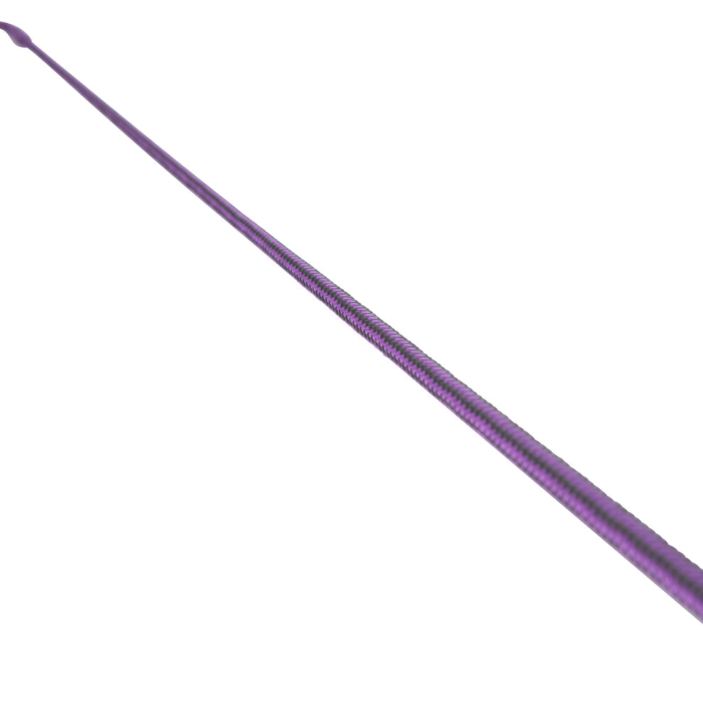 Dressage whip on a white background