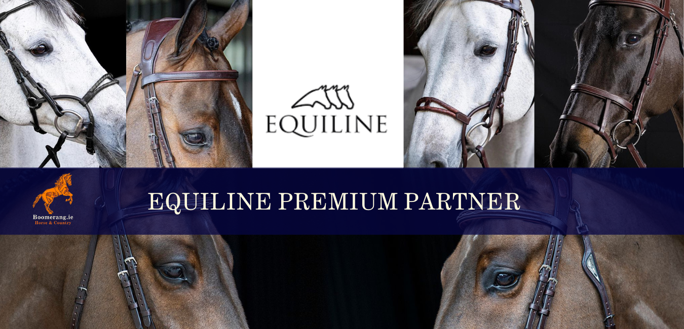 Online shop tack stores