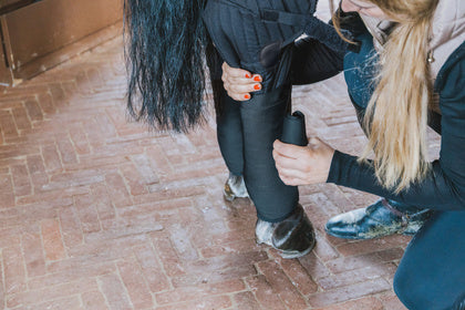 Kentucky Transport Stable Bandage Pad With Hock Protection Black