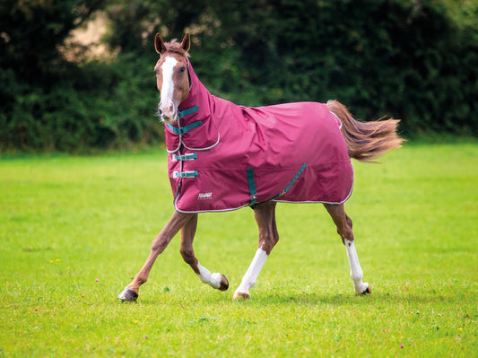 Boomerang Equestrian - Shires Tempest Original 200 g Turnout Combo Rug Wine
