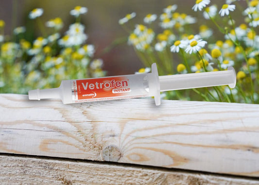 Vetrofen Instant Syringe