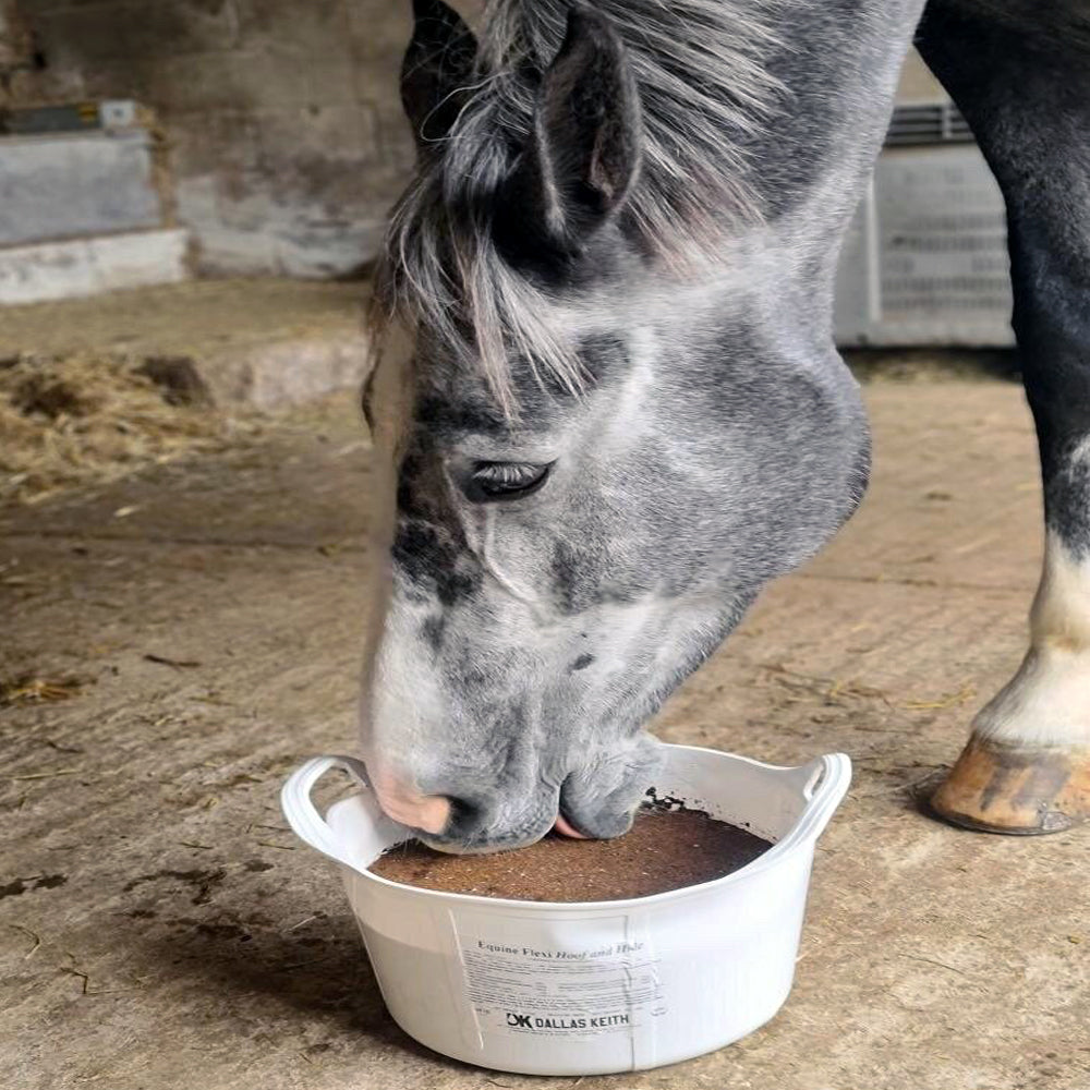 Boomerang Equestrian - Equine Flexi Hoof & Hide Mineral Lick