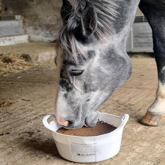 Boomerang Equestrian - Equine Flexi Hoof & Hide Mineral Lick