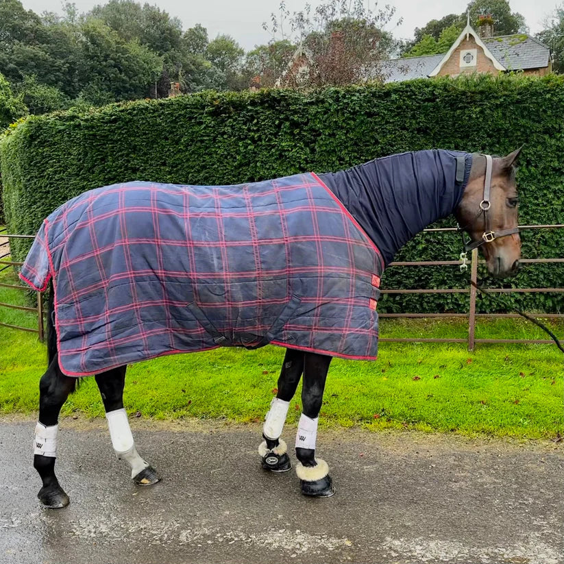 Boomerang Equestrian - Snuggy Hoods Headless Turnout Hood Pull On Navy