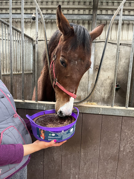 Boomerang Equestrian - Equine Flexi Essential Mineral Lick