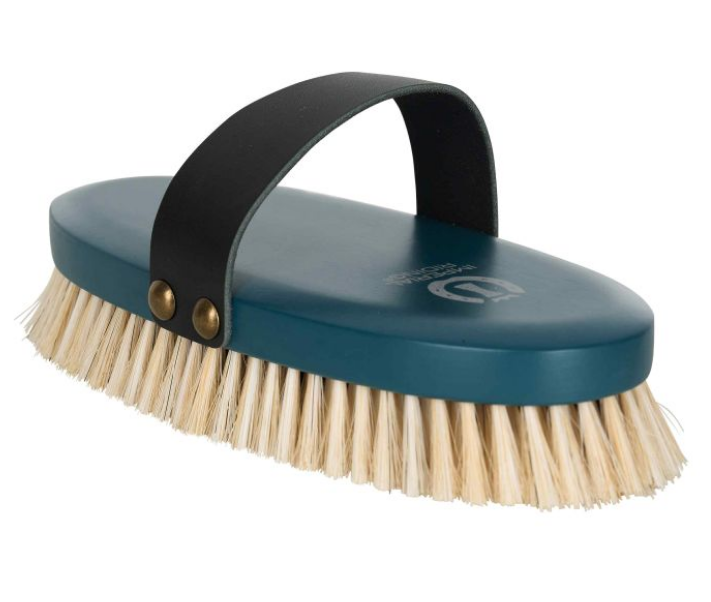 Blue brush with bristles on a white background