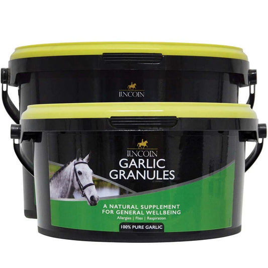 Black and green bucket of Lincoln Garlic Granules for horses on a white background