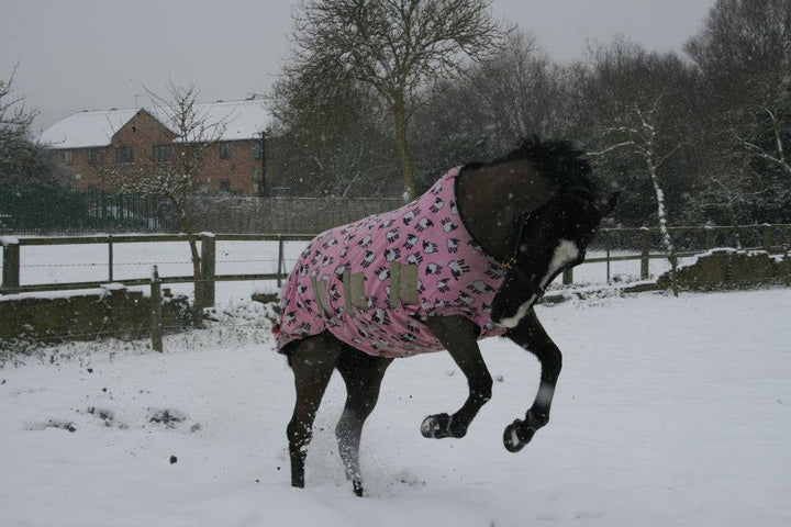 Boomerang Equestrian - Snuggy Hoods Jams Fleece Rug Pink Sheep