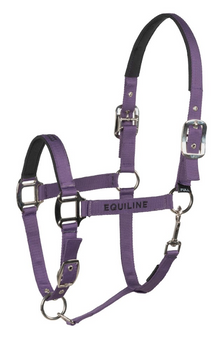  Equiline Head Collar And Lead Rope Set Cuates Purlpe Cob