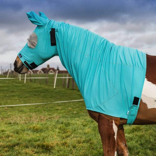 Boomerang Equestrian - Snuggy Hoods Sweet Itch Hood Pull On Mesh Eye Haint Blue