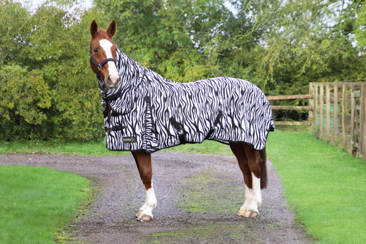 Horse wearing a zebra-patterned rug on a grassy path with trees in the background